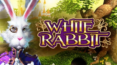 White Rabbit